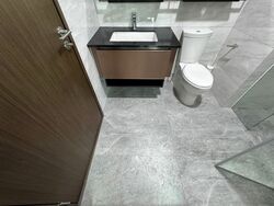 Normanton Park (D5), Apartment #499041791